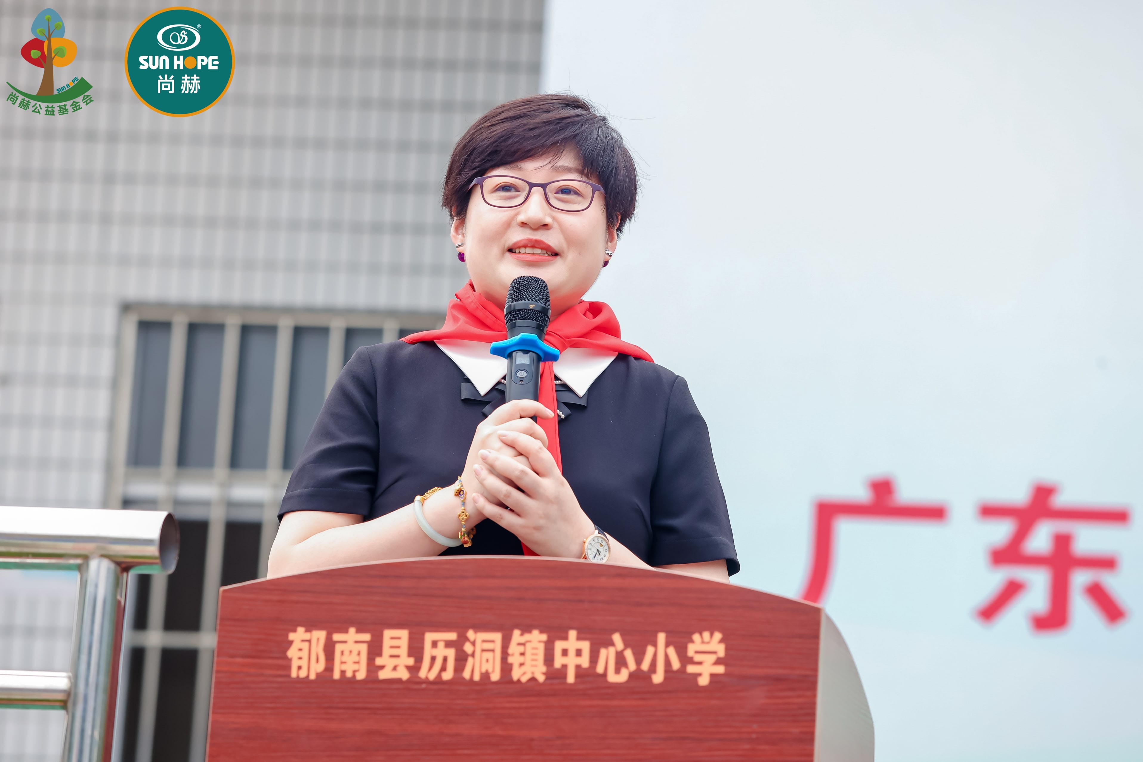第247所 广东省云浮市郁南县历洞镇尚赫王珊小学